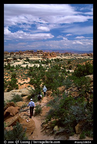 Hikers on the Chesler Park trail, the Needles. Canyonlands National Park, Utah, USA.