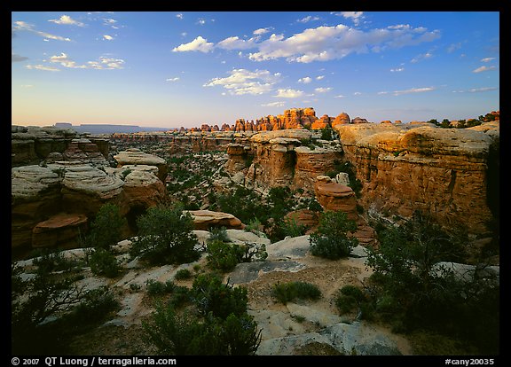 Elephant Canyon at sunset, the Needles. Canyonlands National Park (color)