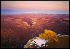 Gorge and plateau at sunset, Island in the Sky. Canyonlands National Park, Utah, USA. (color)