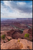 Colorado River from Dead Horse Point, morning. Canyonlands National Park, Utah, USA.