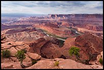 Gooseneck of the Colorado River from Dead Horse Point. Canyonlands National Park, Utah, USA.