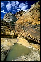 Pockets of water in Waterpocket Fold near Capitol Gorge. Capitol Reef National Park, Utah, USA. (color)