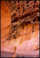 Holes in rock, Capitol Gorge. Capitol Reef National Park, Utah, USA.