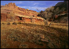 Castle Meadow and Castle, late autum morning. Capitol Reef National Park, Utah, USA.