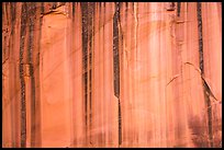 Sandstone cliff with desert varnish. Capitol Reef National Park, Utah, USA. (color)