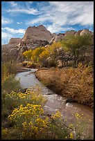 Fremont River, shrubs and trees in fall. Capitol Reef National Park, Utah, USA.