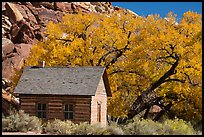 Fruita one-room schoolhouse in autumn. Capitol Reef National Park ( color)
