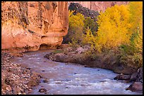 Fremont River, cottonwoods, and cliffs in autumn. Capitol Reef National Park ( color)