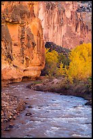 Bend of the Fremont River, cottonwoods, and cliffs in autumn. Capitol Reef National Park, Utah, USA.