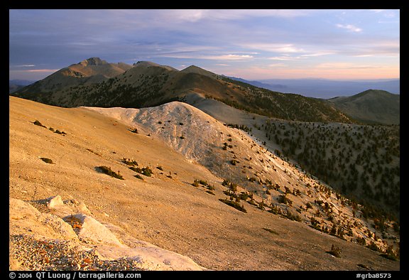 Wheeler Peak and Snake range seen from Mt Washington, sunrise. Great Basin National Park, Nevada, USA.