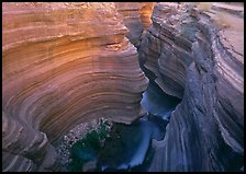 Slot canyon, Deer Creek Narrows. Grand Canyon National Park, Arizona, USA. (color)