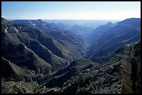 Lush side canyon, North Rim. Grand Canyon National Park, Arizona, USA.