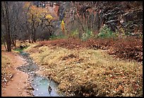 Creek in Havasu Canyon, late fall. Grand Canyon National Park, Arizona, USA.