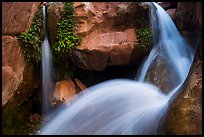 Double spouted waterfall, Clear Creek. Grand Canyon National Park, Arizona, USA.