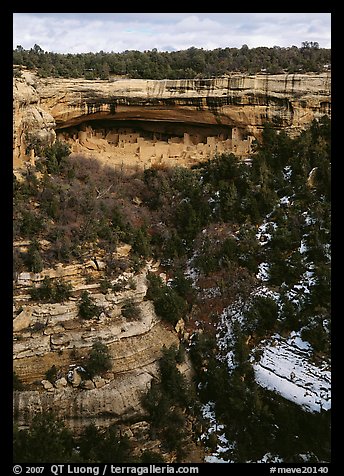 Cliff Palace seen from across valley. Mesa Verde National Park (color)