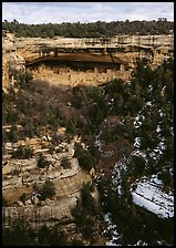 Cliff Palace seen from across valley. Mesa Verde National Park ( color)