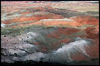 Painted Desert, morning. Petrified Forest National Park, Arizona, USA. (color)