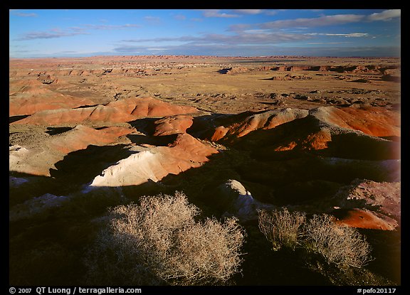 Ridges over badlands of Painted Desert, morning. Petrified Forest National Park (color)