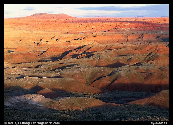 Painted Desert, early morning. Petrified Forest National Park (color)