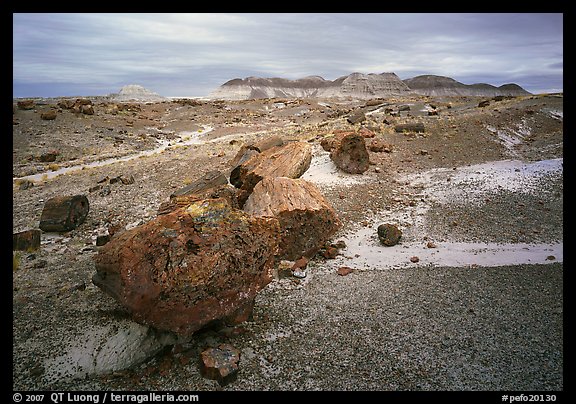 Colorful petrified wood section and badlands. Petrified Forest National Park (color)
