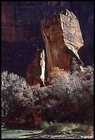 The Pulpit, Zion Canyon. Zion National Park, Utah, USA. (color)