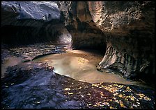Water flowing in pools in  Subway, Left Fork of the North Creek. Zion National Park ( color)