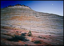 Checkerboard Mesa and moon. Zion National Park ( color)