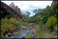 Zion Canyon and Virgin River in the fall. Zion National Park, Utah, USA.
