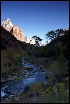 Virgin River and Court of the Patriarchs, early morning. Zion National Park, Utah, USA.