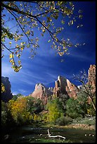 Court of the Patriarchs and Virgin River, mid-day. Zion National Park, Utah, USA.