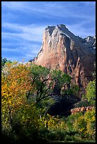 Trees in autumn foliage and Court of the Patriarchs, mid-day. Zion National Park, Utah, USA.