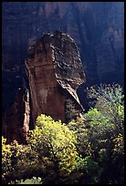The Pulpit, temple of Sinawava, late morning. Zion National Park ( color)