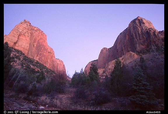 Middle Fork of Taylor Creek, one of the Finger canyons, sunset. Zion National Park