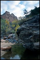 Left Fork of the North Creek. Zion National Park ( color)