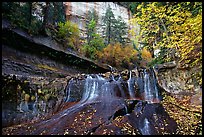 Cascade and tree in autumn foliage, Left Fork of the North Creek. Zion National Park, Utah, USA. (color)
