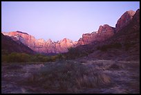 Towers of the Virgin from behind  Museum, dawn. Zion National Park, Utah, USA.