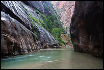 Placid and wide section of Virgin River between cliffs, the Narrows. Zion National Park ( color)