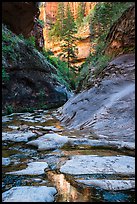 Stream and canyon walls, Left Fork. Zion National Park ( color)