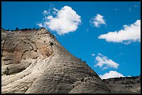 White cliffs, Zion Canyon rim. Zion National Park ( color)