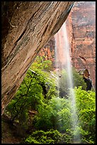 Waterfall on alcove above Lower Emerald Pool. Zion National Park ( color)