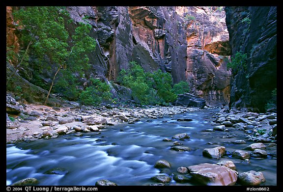 Virgin River in the Narrows. Zion National Park