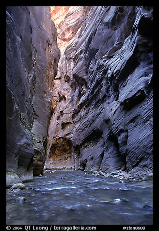 Slot canyon like walls, Wall Street, the Narrows. Zion National Park