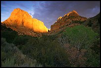 Kolob Canyons at sunset. Zion National Park ( color)