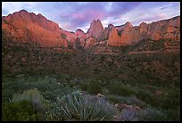 Panoramic view of Kolob Canyons at sunset. Zion National Park ( color)