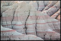 Paleosols fossil soils mixed with Brule Formation. Badlands National Park, South Dakota, USA. (color)