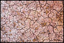Cracks in multi-colored paleosol. Badlands National Park, South Dakota, USA. (color)