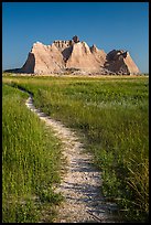 Trail winding in prairie next to butte. Badlands National Park, South Dakota, USA. (color)
