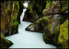 Water rushing in narrow mossy gorge, Avalanche Creek. Glacier National Park, Montana, USA.