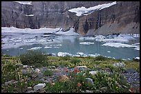 Wildflowers, Upper Grinnell Lake, Salamander Falls and Glacier. Glacier National Park, Montana, USA. (color)