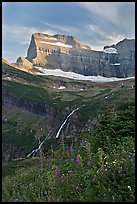 Wildflowers, Grinnell Falls, Mt Gould, and Garden Wall, sunset. Glacier National Park, Montana, USA. (color)